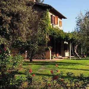 Poggetto Masino , Suvereto Italia